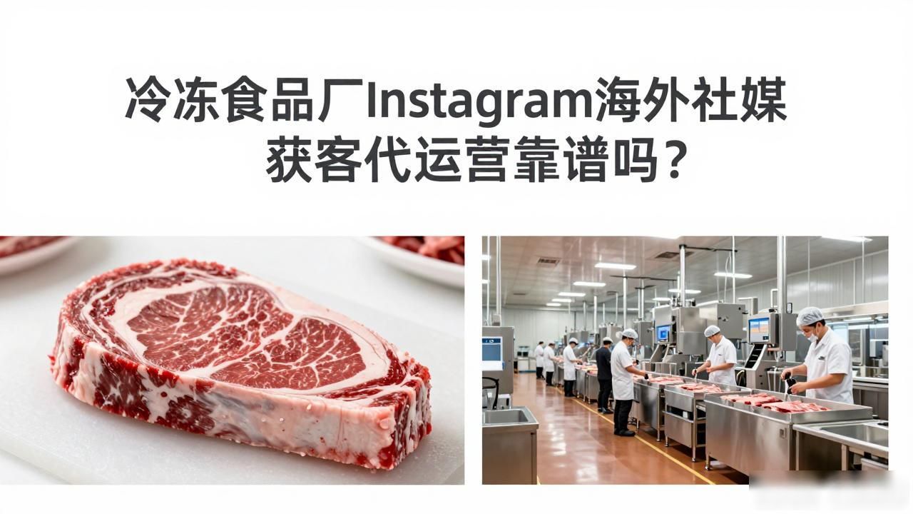 冷冻食品出口公司_境外冷冻食品_冷冻食品厂Instagram海外社媒获客代运营