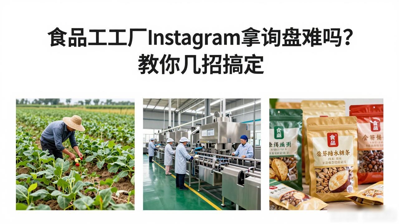 食品加工厂Instagram B2B询盘怎么获取_食品加工厂Instagram B2B询盘怎么获取_食品加工厂Instagram B2B询盘怎么获取