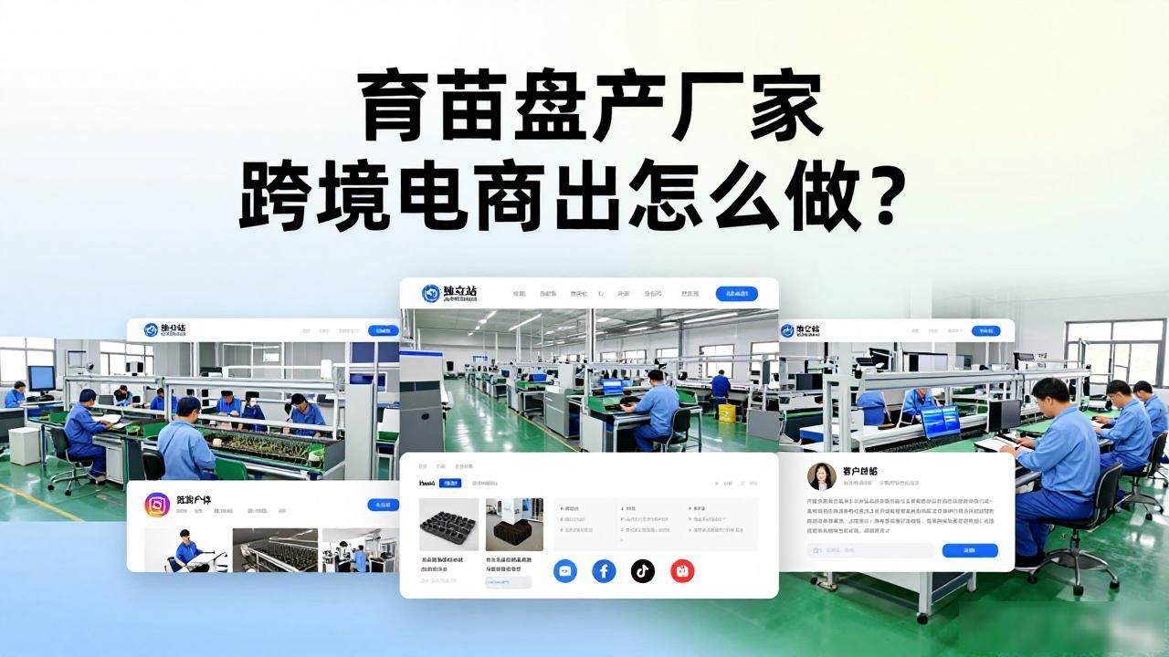 育苗盘生产厂家跨境电商出海_育苗盘生产厂家跨境电商出海_育苗盘生产厂家跨境电商出海