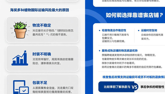 熊猫跨境
