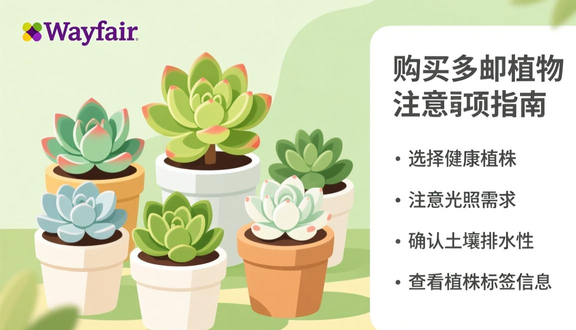 熊猫跨境