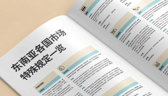 海外抖音tiktok 广告