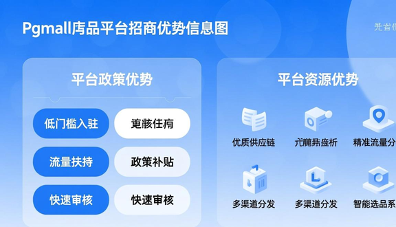 跨境电商平台