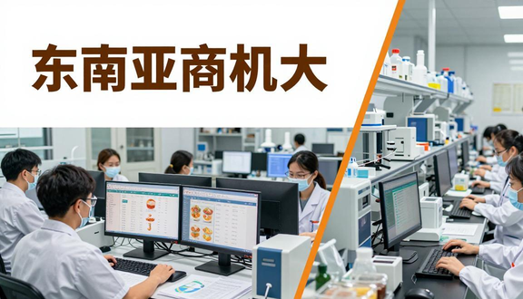 跨境电商平台