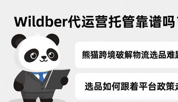 熊猫跨境平台