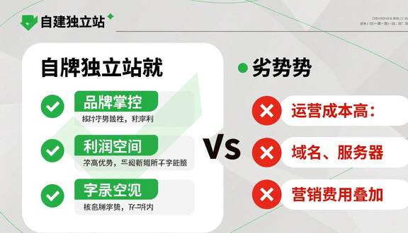 外贸建站独立站专业