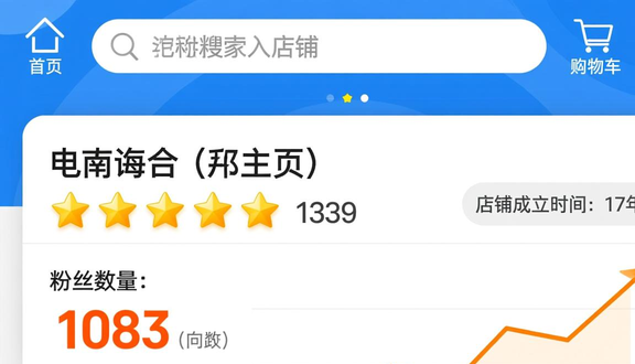 跨境电商平台