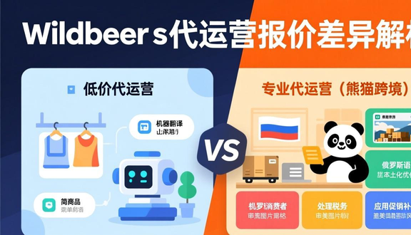 跨境电商平台
