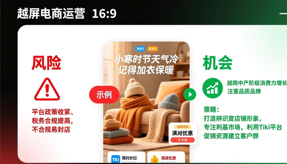 跨境电商平台
