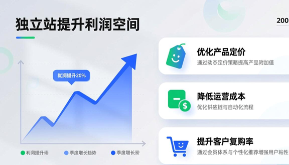 资阳外贸独立站建站公司