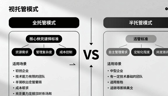 temu跨境电商平台