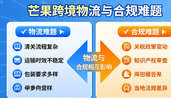 熊猫跨境平台