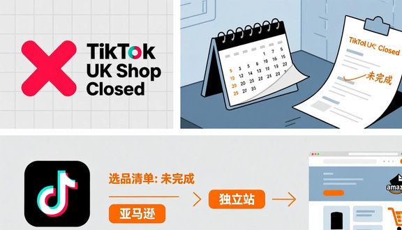 tiktok广告推广销售排名