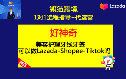 第19课=美容护理牙线牙签可以做Lazada-Shopee-Tiktok吗.jpg