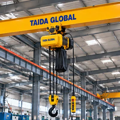 0.5 t × 6 m Hoist Rantai Listrik