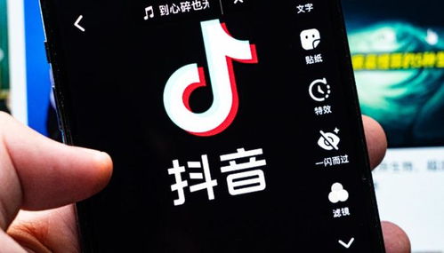 c8968dc30055fc95.jpg