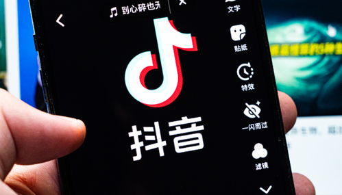 b088ab77e2272cca.jpg