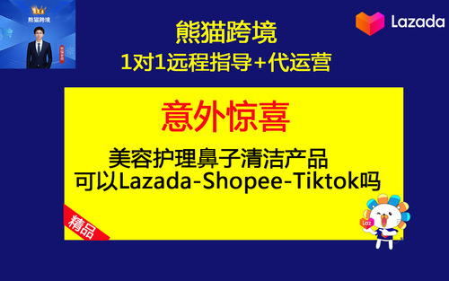 第17课-美容护理鼻子清洁产品可以Lazada-Shopee-Tiktok吗.jpg