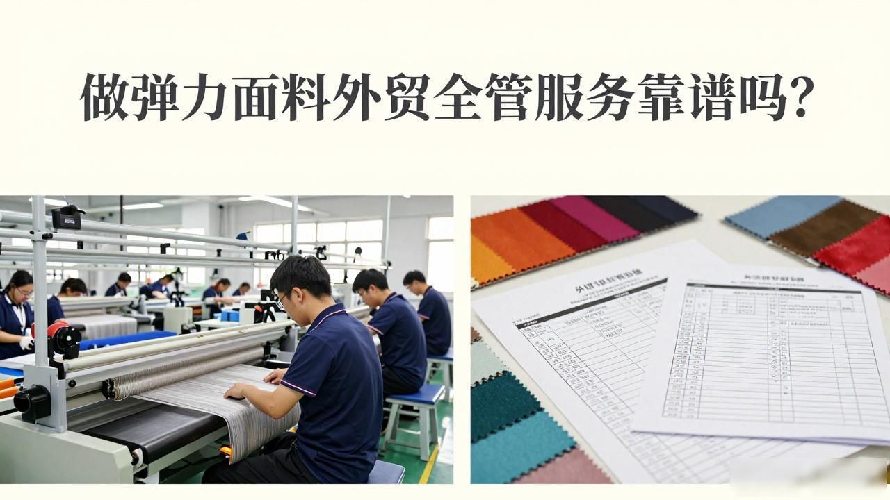 面料弹力的标准是什么样的_面料带弹力是什么成分_弹力面料外贸全托管服务