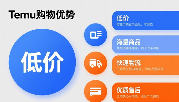 temu跨境电商平台