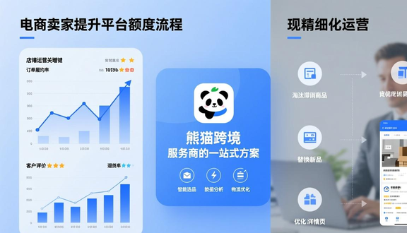 跨境电商平台
