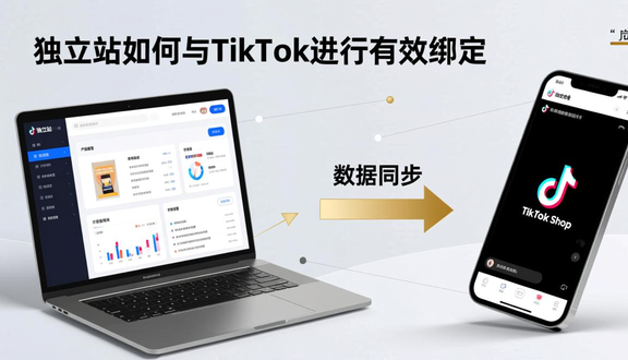 ecwid独立站建站
