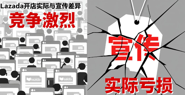 lazada用户群体